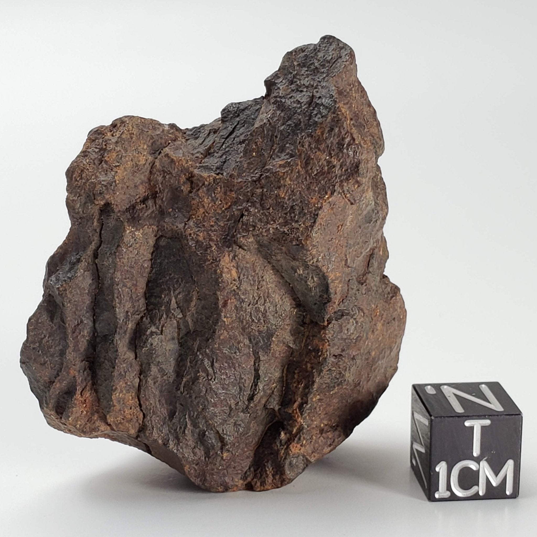 Northwest Africa NWA Meteorite | 57.83 Grams | Individual Fragment | S