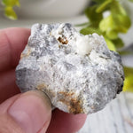 Variscite on Quartz Matrix Crystal | Rare Mineral | 38 grams | Wiśniówka Wielka, Poland