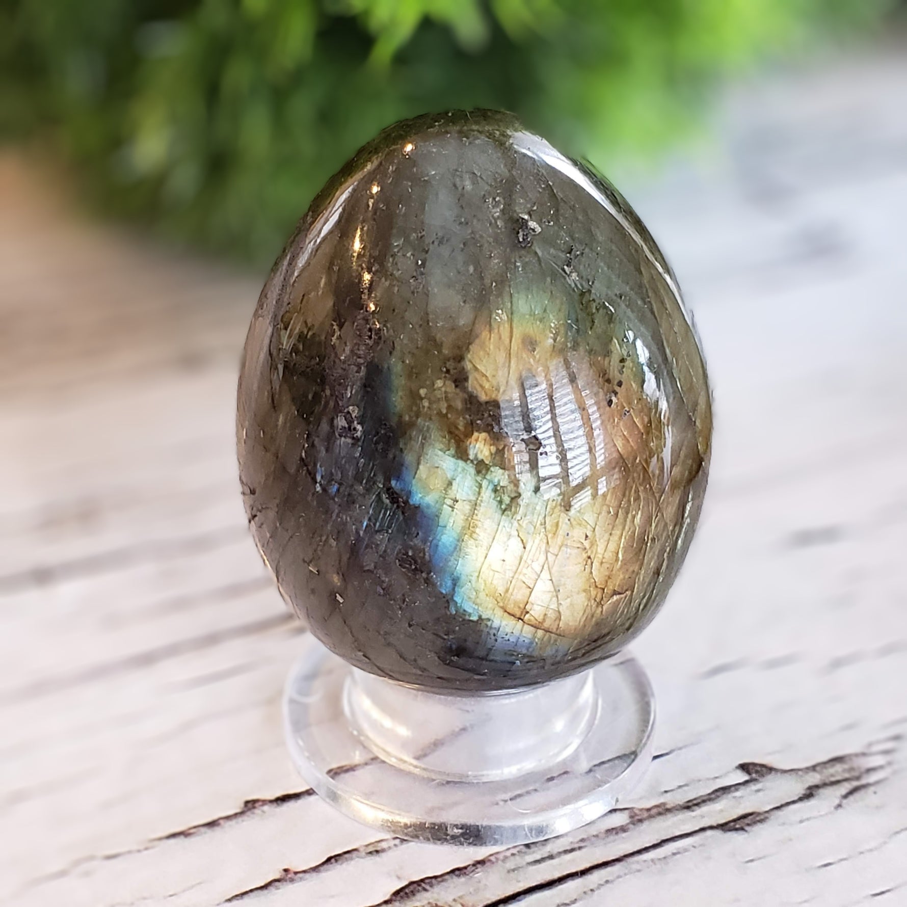  Labradorite Egg Natural Gray Rainbow 160 gr from Madagascar 