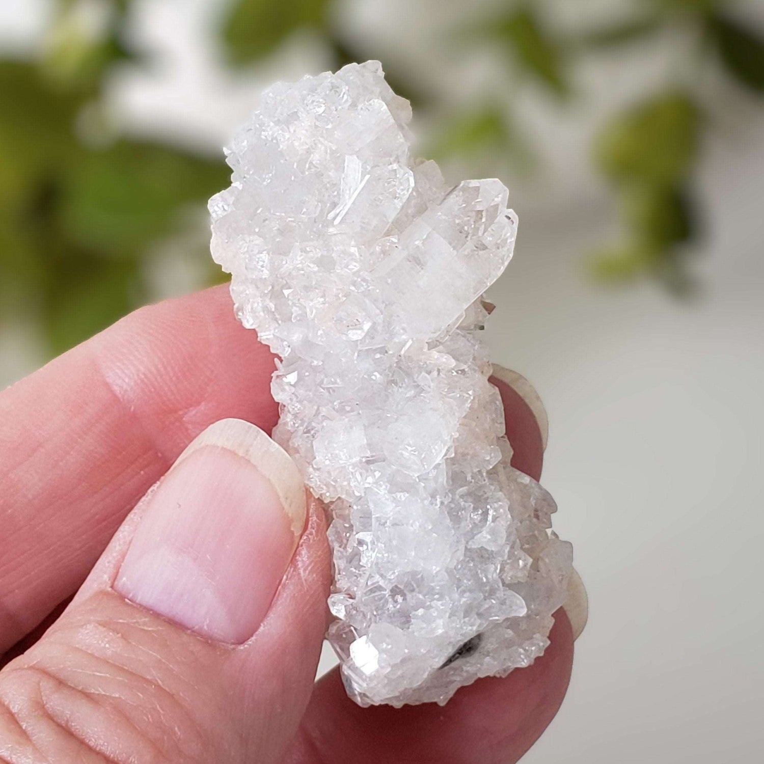  Apophyllite and Quartz Crystal Cluster 29.7 grams Jalgaon, India 