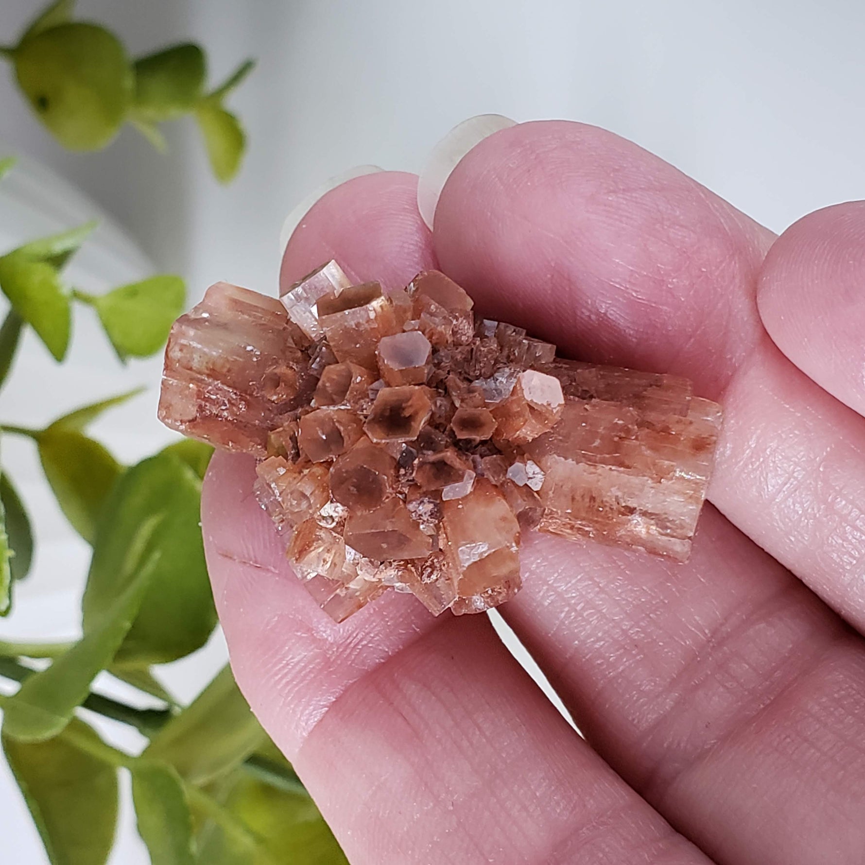  Aragonite Star Cluster | Amazing Terminations | 15.1 grams | Sefrou Ata, Morocco 