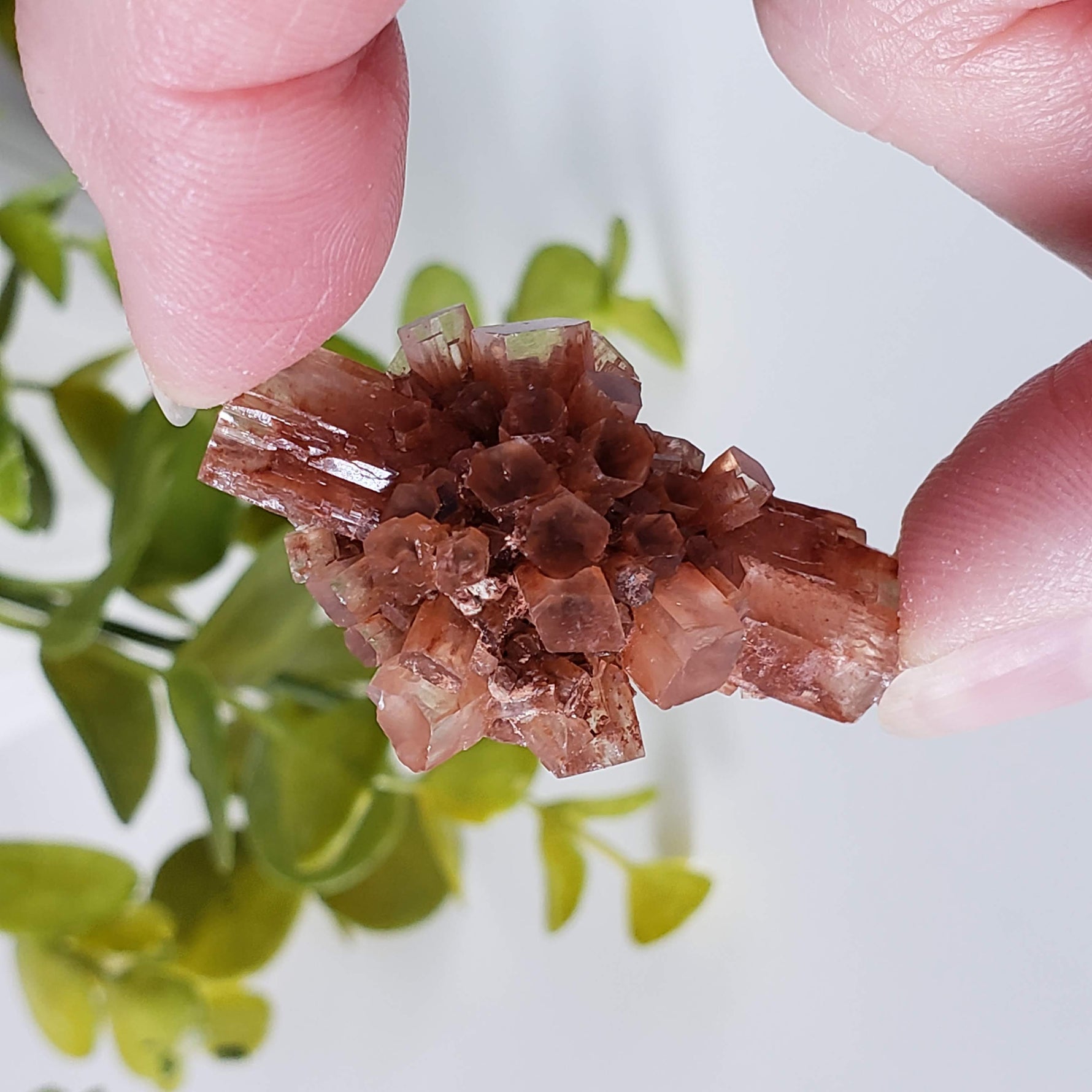  Aragonite Star Cluster | Amazing Terminations | 15.1 grams | Sefrou Ata, Morocco 