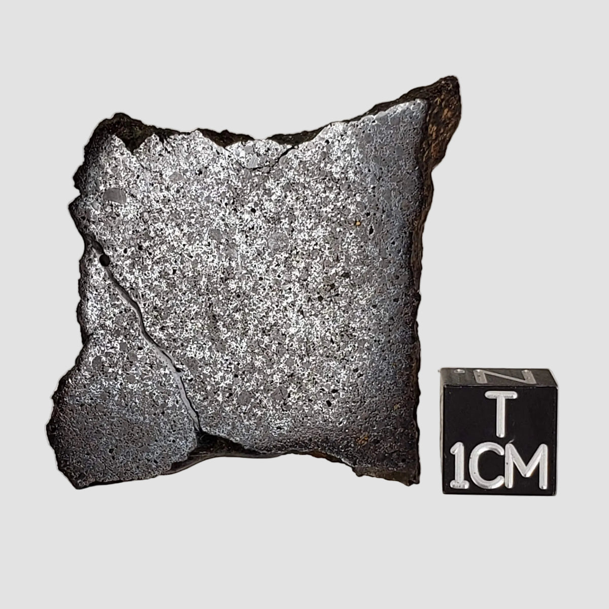 Dhofar 224 Meteorite | 23.2 Grams | Slice | Rare H4 Chondrite | Sahara
