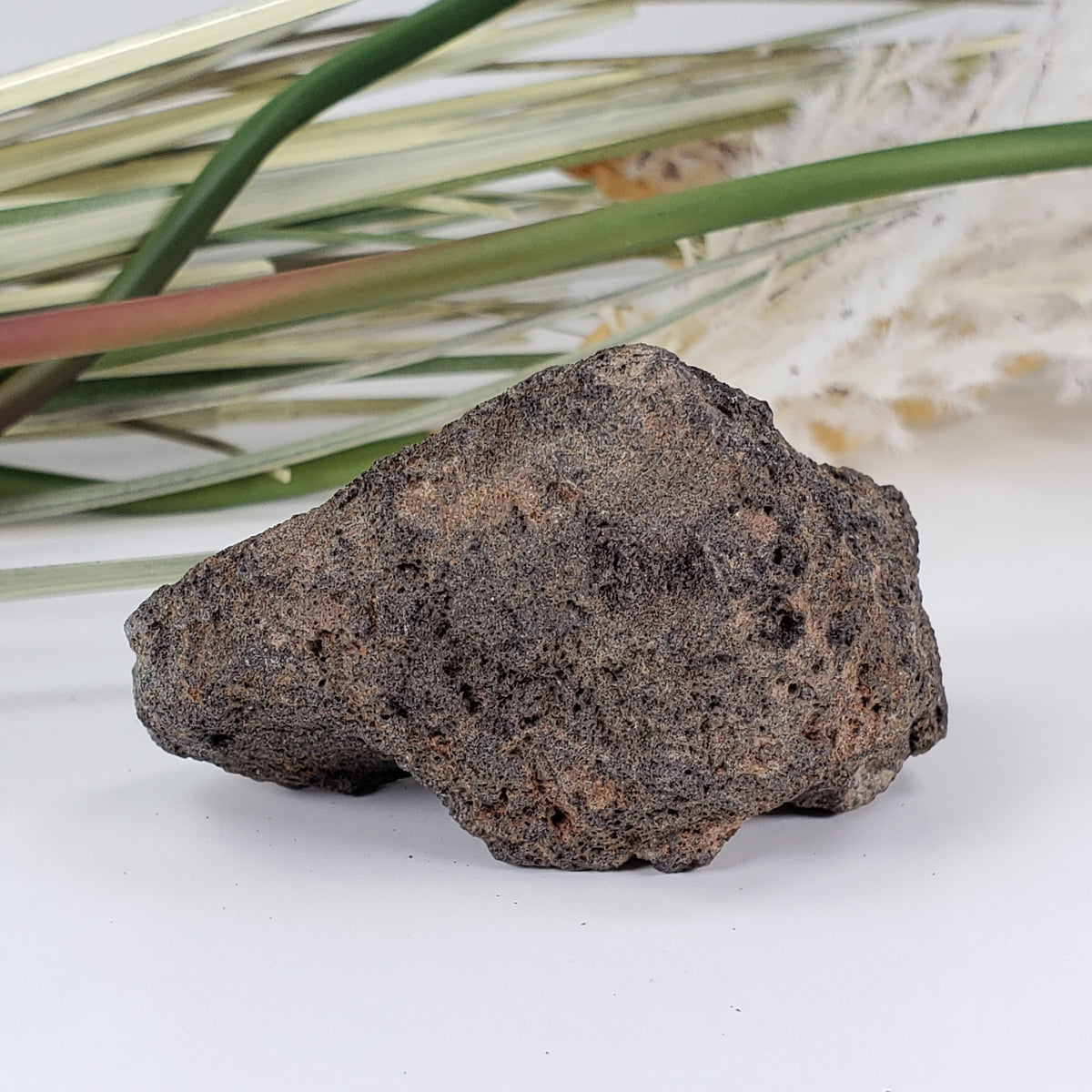  Olivine Volcanic Bomb 70 gr from Mortlake, Victoria, Australia 