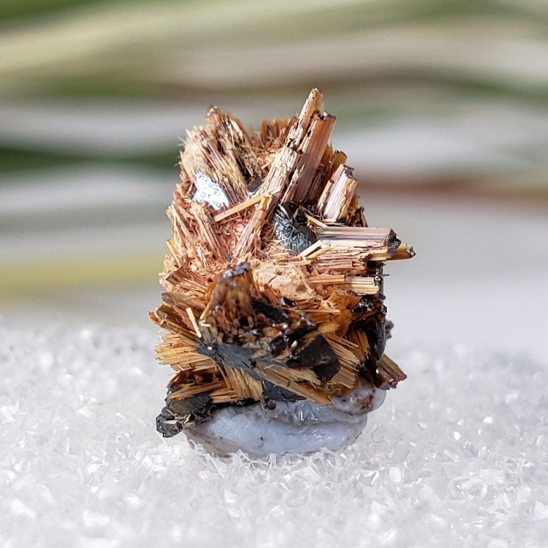  Rutile with Hematite Thumbnail Specimen from Brazil 