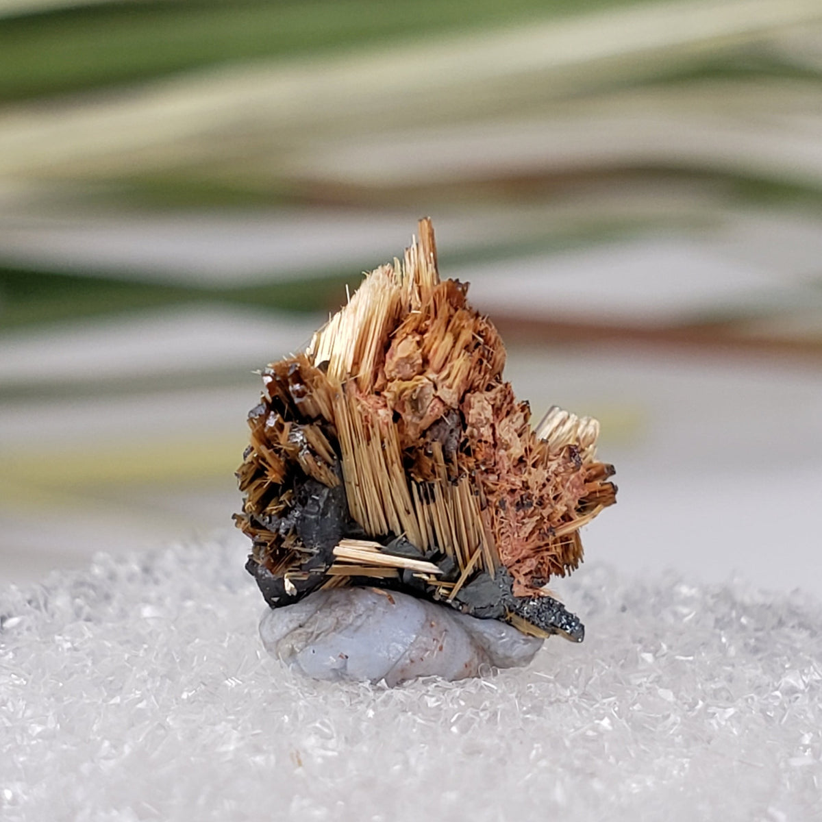  Rutile with Hematite Thumbnail Specimen from Brazil 