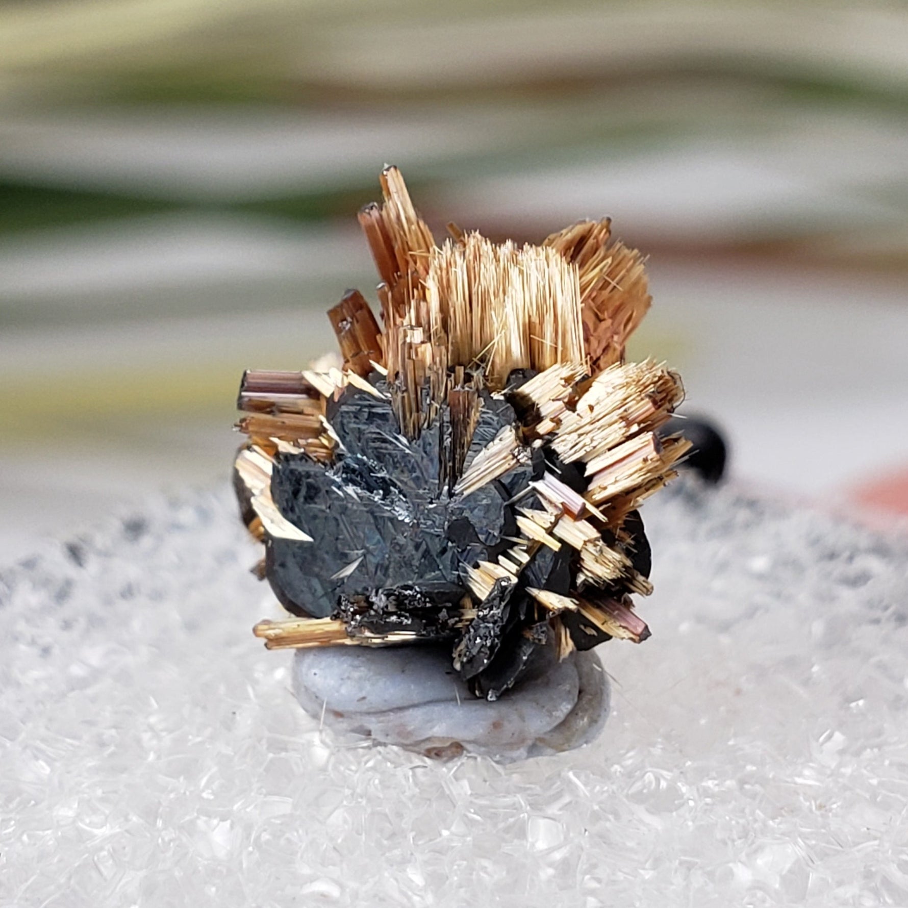  Rutile with Hematite Thumbnail Specimen from Brazil 