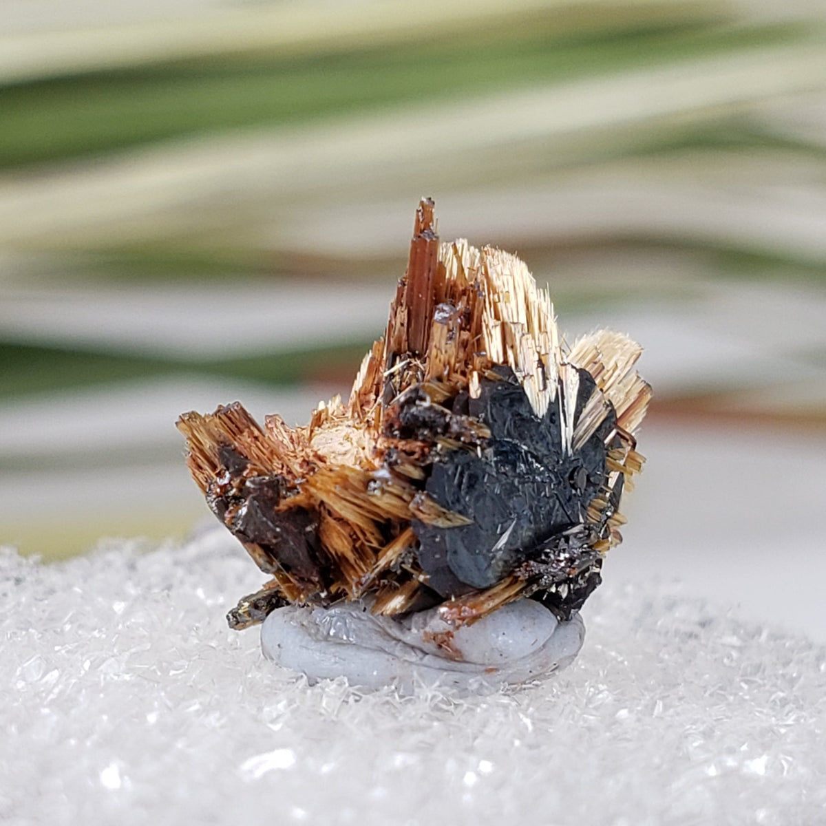  Rutile with Hematite Thumbnail Specimen from Brazil 