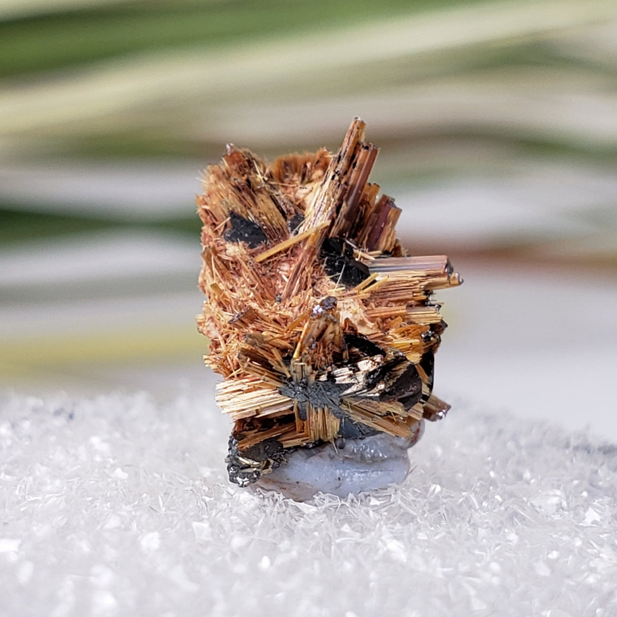  Rutile with Hematite Thumbnail Specimen from Brazil 