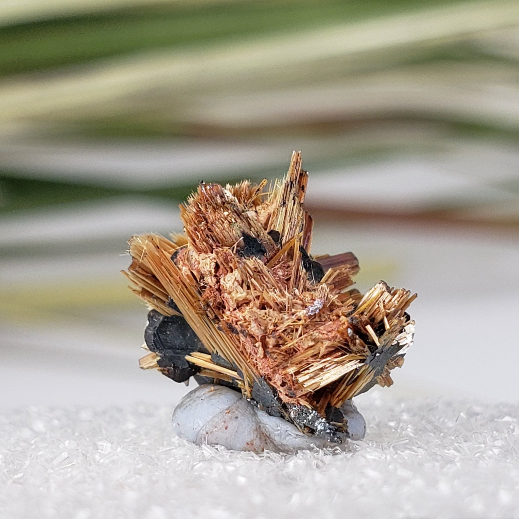  Rutile with Hematite Thumbnail Specimen from Brazil 