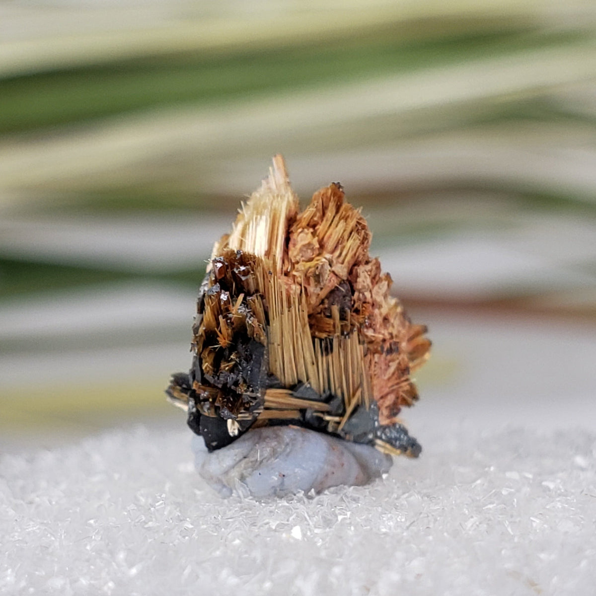  Rutile with Hematite Thumbnail Specimen from Brazil 