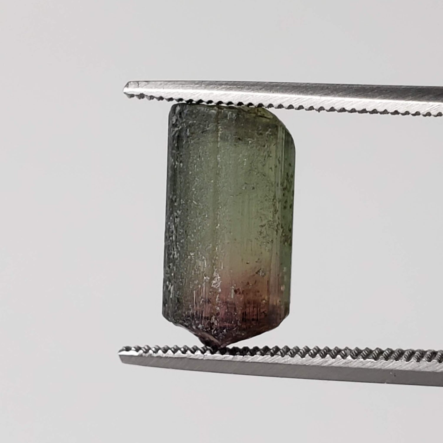 Natural Bi-Color Tourmaline Crystal | Raw Tourmaline | 10mm 5.3ct | Africa