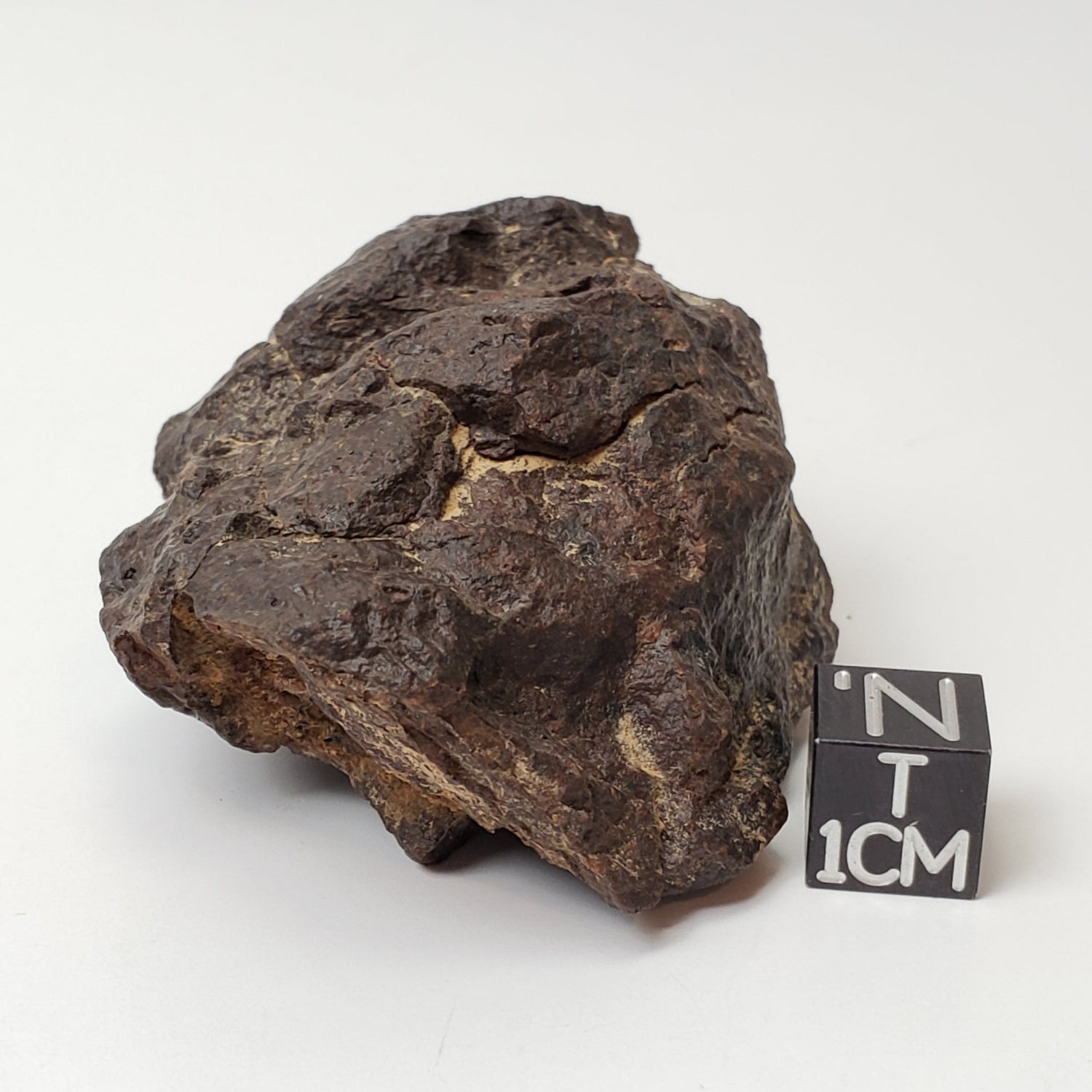 Dhofar 221 Meteorite | 111.3 Grams | Individual | L5 Shocked Chondrite | Sahara | Canagem.com