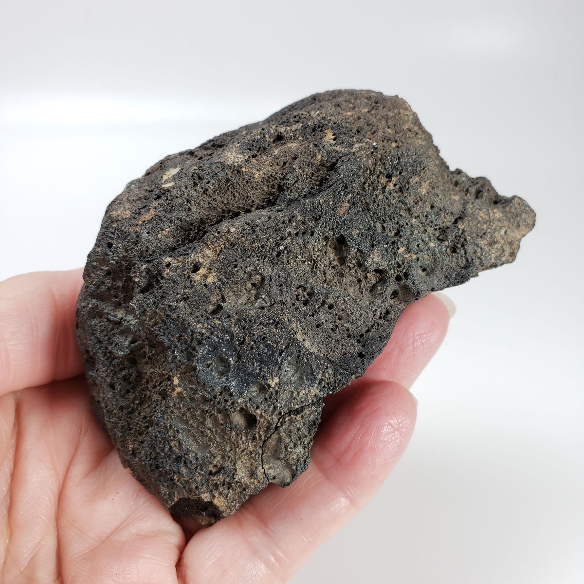 Rare Red Olivine Volcanic Bomb | Lava Coated Crystal | 452 grams | Mortlake, Victoria, Australia