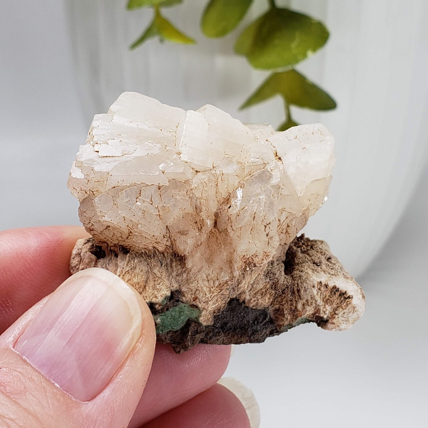 Pearly White Stilbite Crystal | 31.4 gr | Cape D'Or, Nova Scotia, Canada