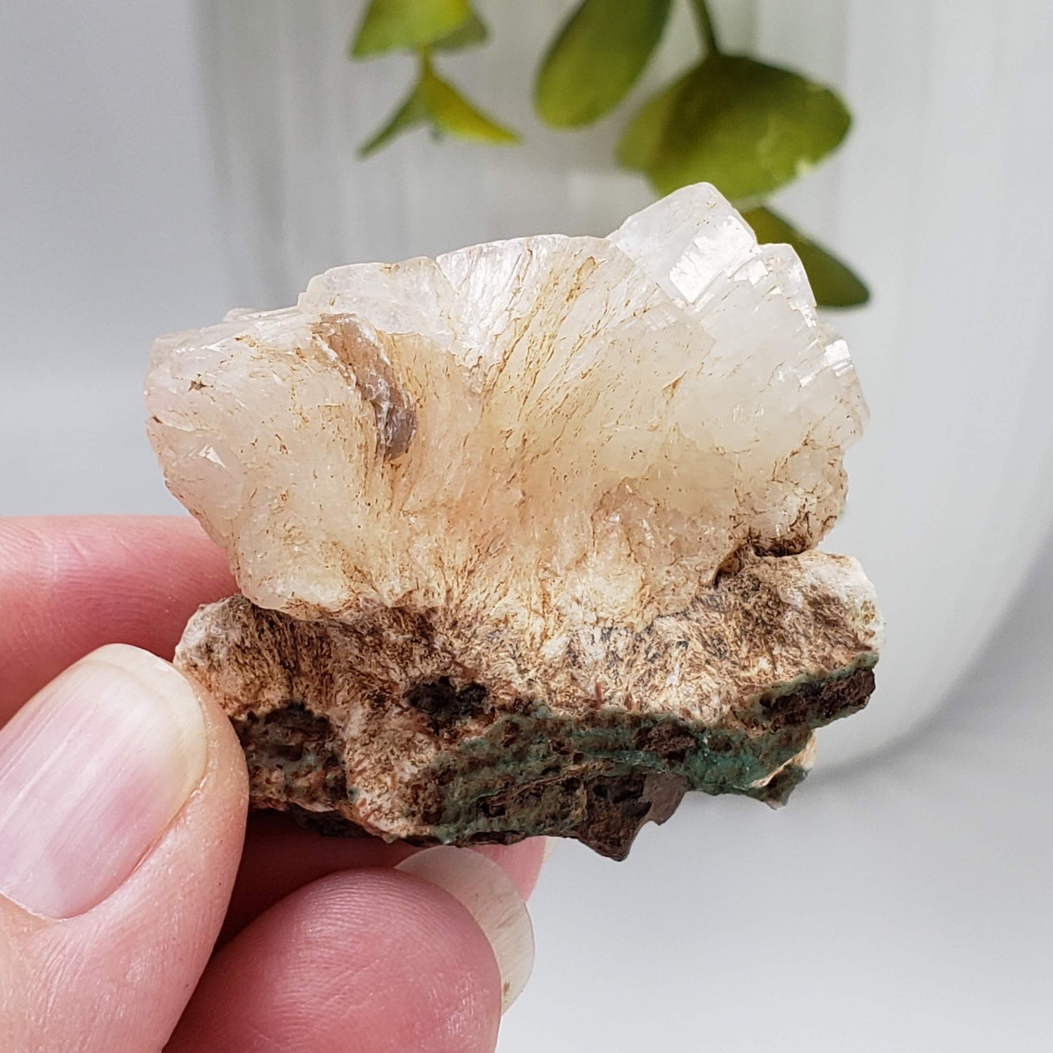 Pearly White Stilbite Crystal | 31.4 gr | Cape D'Or, Nova Scotia, Canada