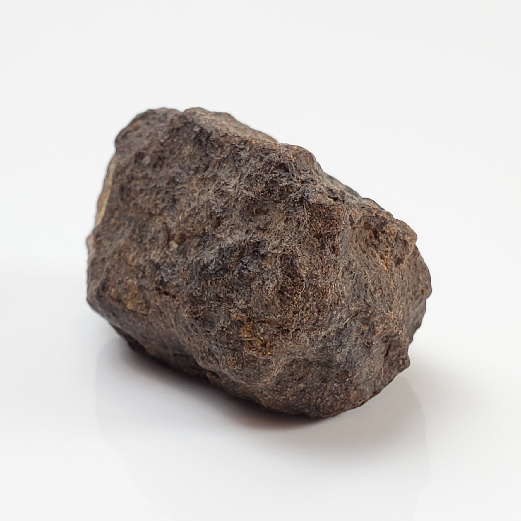 NWA 2965 Meteorite | 20.6 Grams | Individual | EL-Melt Rock | Fossil Paleomet