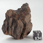 Northwest Africa NWA Meteorite | 57.83 Grams | Individual Fragment | Sahara