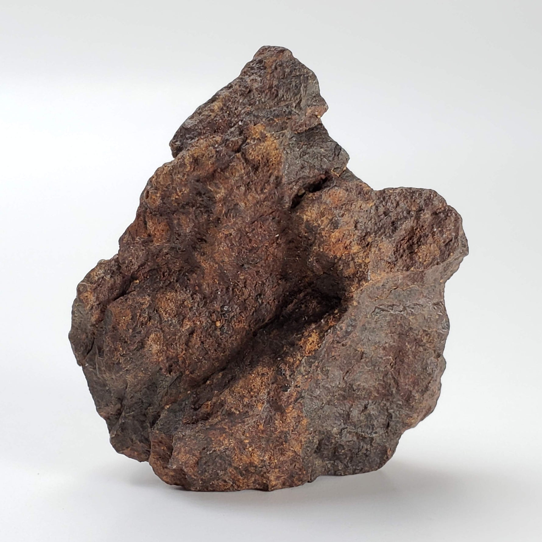 Northwest Africa NWA Meteorite | 57.83 Grams | Individual Fragment | Sahara