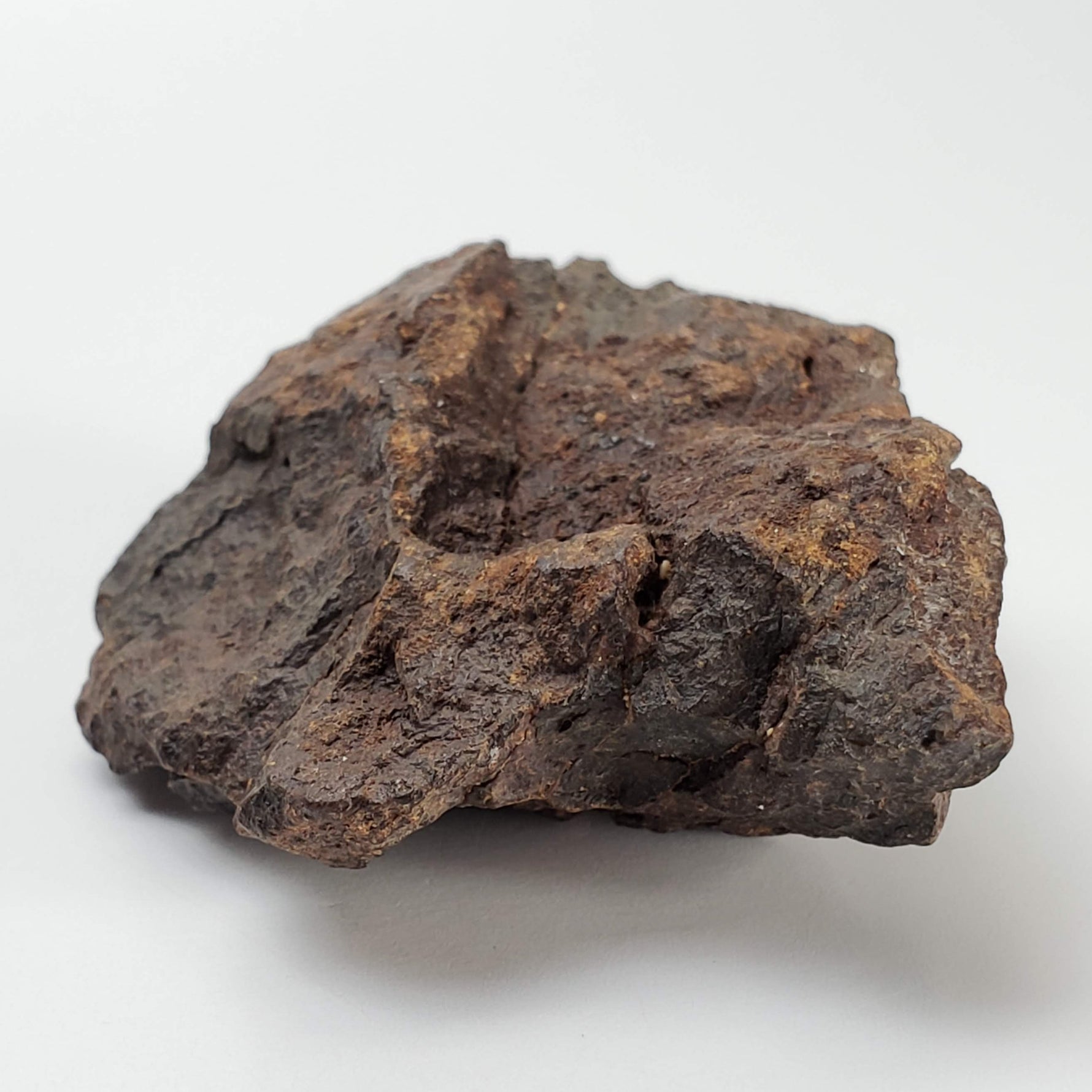 Northwest Africa NWA Meteorite | 57.83 Grams | Individual Fragment | Sahara