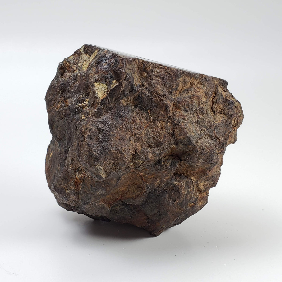  Northwest Africa NWA Meteorite 354.5 Grams End Cut Sahara 