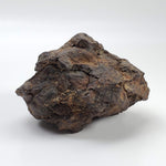 Northwest Africa NWA Meteorite | 354.5 Grams | End Cut | Sahara