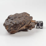 Northwest Africa NWA Meteorite | 81.9 Grams | Individual Cut Fragment | Sahara