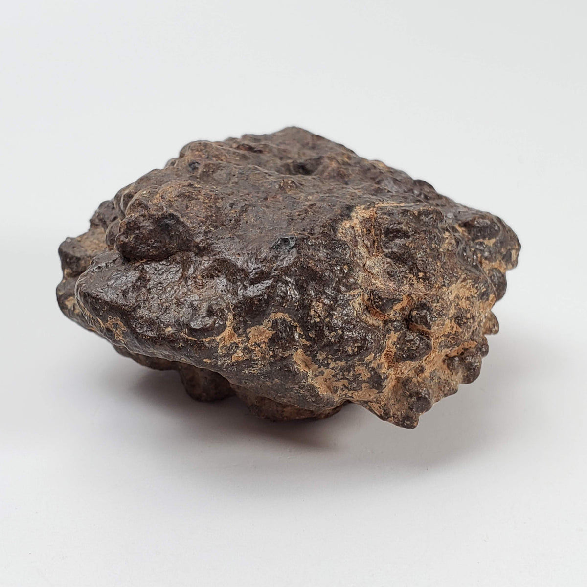 Northwest Africa NWA Meteorite | 81.9 Grams | Individual Cut Fragment | Sahara