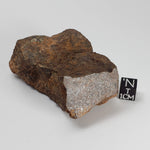 Northwest Africa NWA Meteorite | 164.9 Grams | End Cut | Sahara