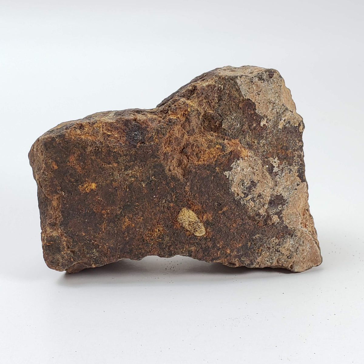 Northwest Africa NWA Meteorite | 164.9 Grams | End Cut | Sahara