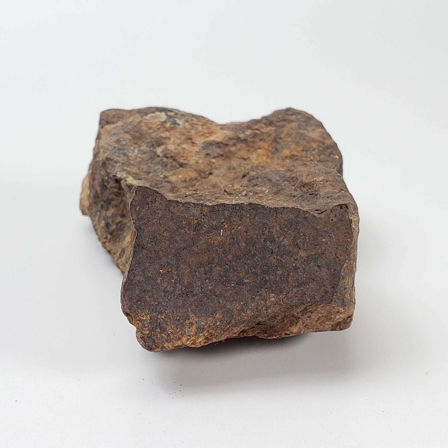 Northwest Africa NWA Meteorite | 164.9 Grams | End Cut | Sahara