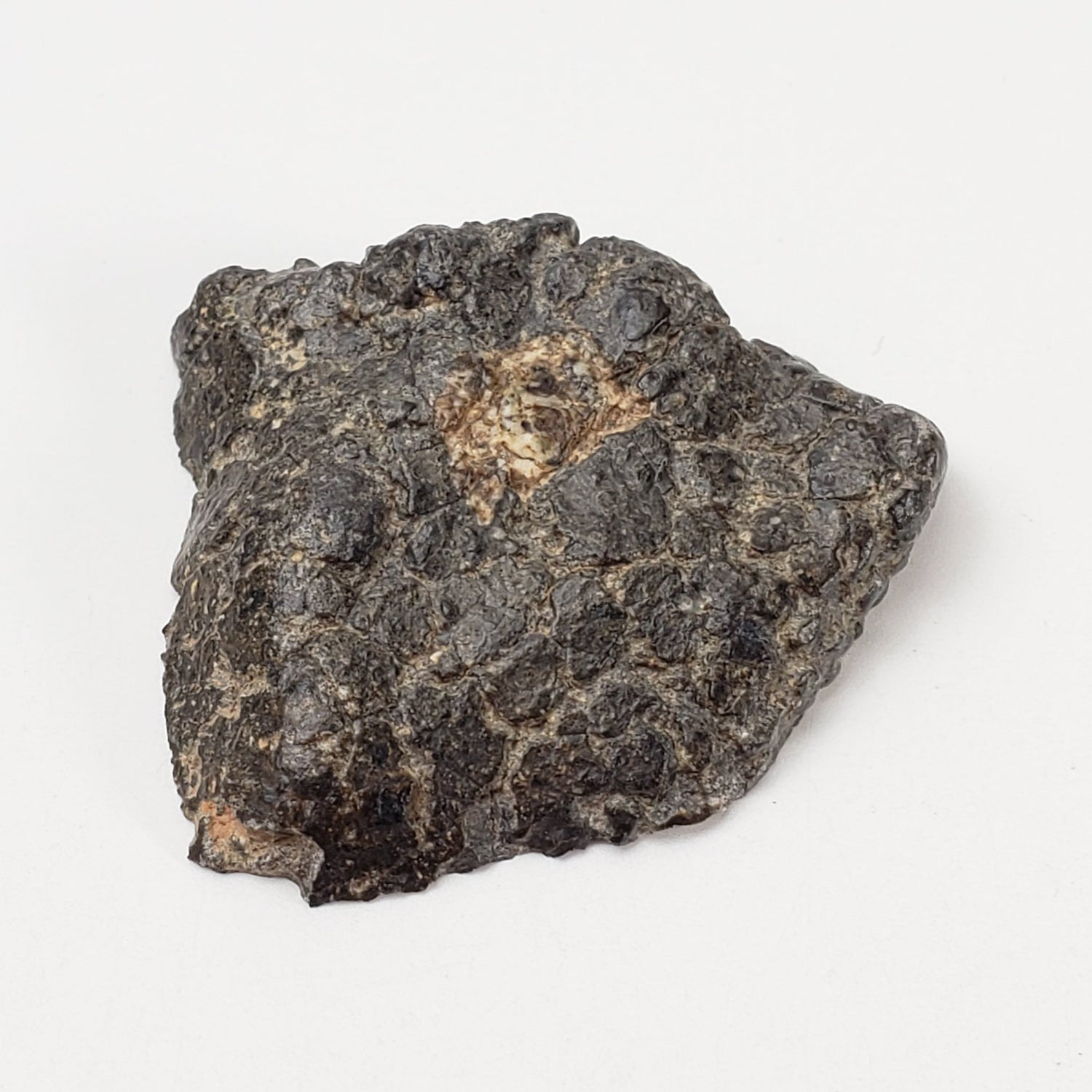 Météorite NWA 2949 | 10,8 g | Eucrite en croûte rare, coupe finale | Faible TKW | Erfoud, Maroc