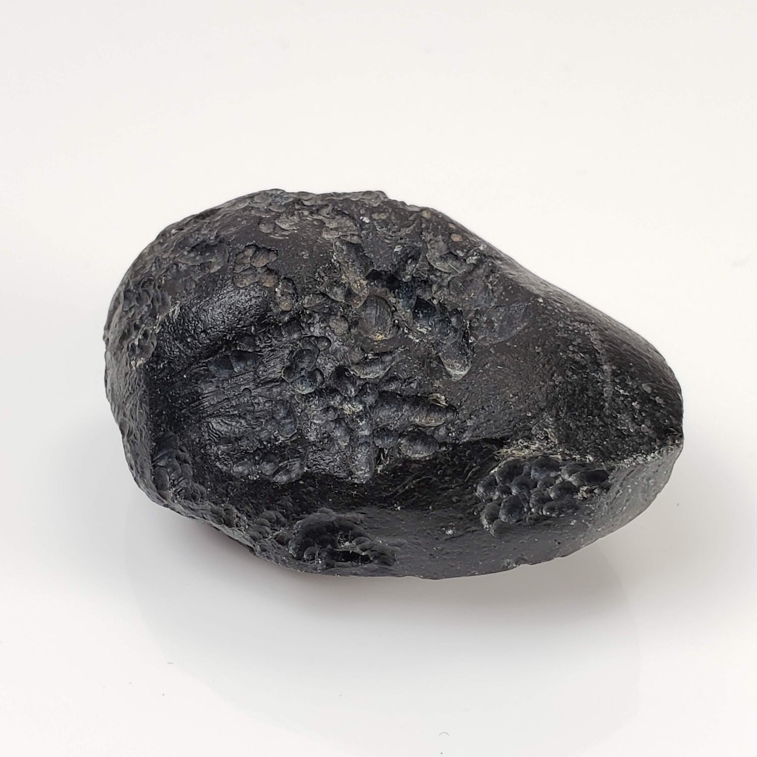 Indochinite Tektite | 38.8 Grams | Impactite