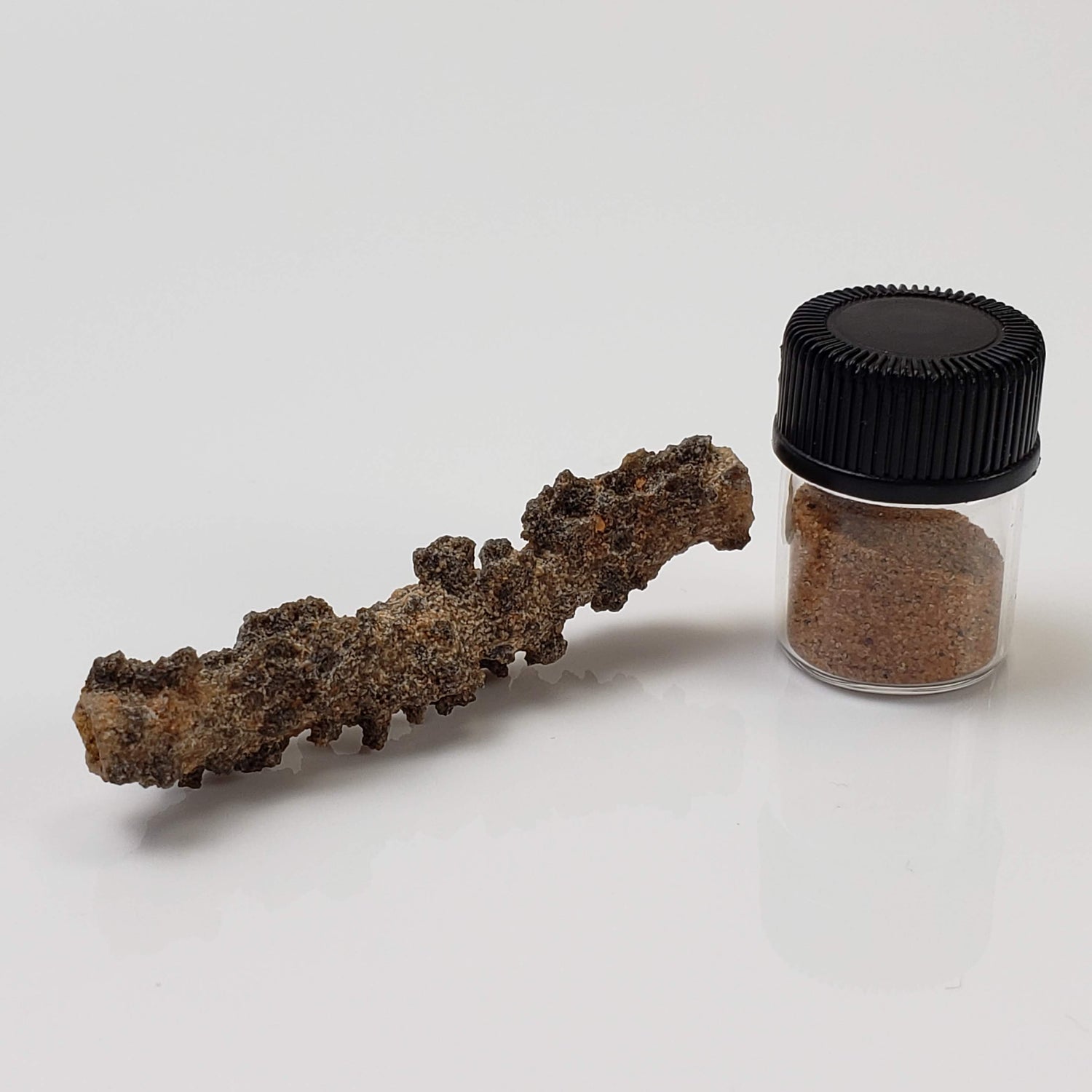 Fulgurite | Verre à impact naturel de foudre | 1,56 grammes | Sahara