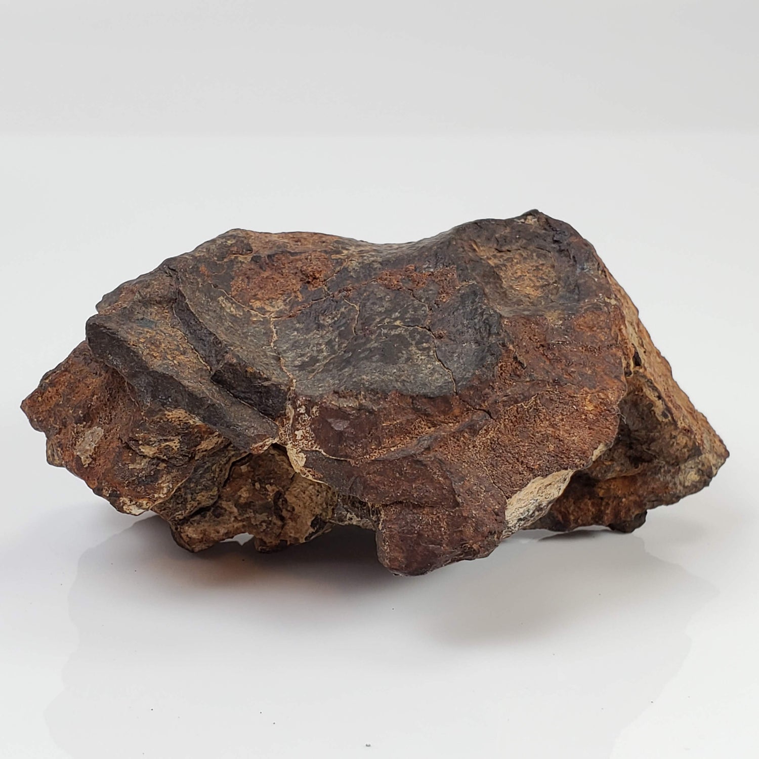 Northwest Africa NWA Meteorite | 142.7 Grams | Individual Fragment | Sahara