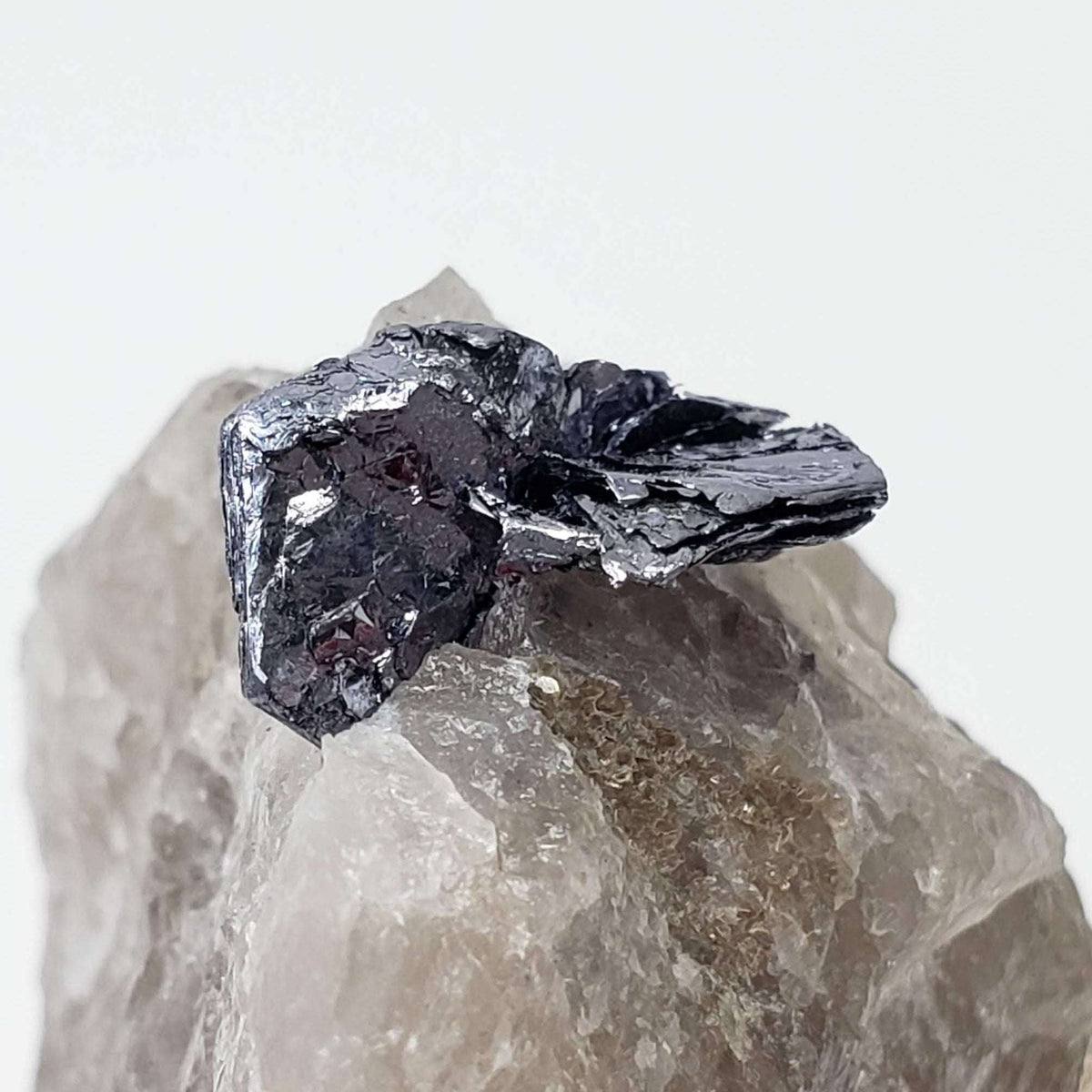 Molybdenite Crystals | 51.4 grams | Moly Hill, Québec, Canada