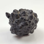 Pseudomorph Goethite After Marcasite | Prophecy Stone | 59.8gr | Farafra Oasis, Egypt