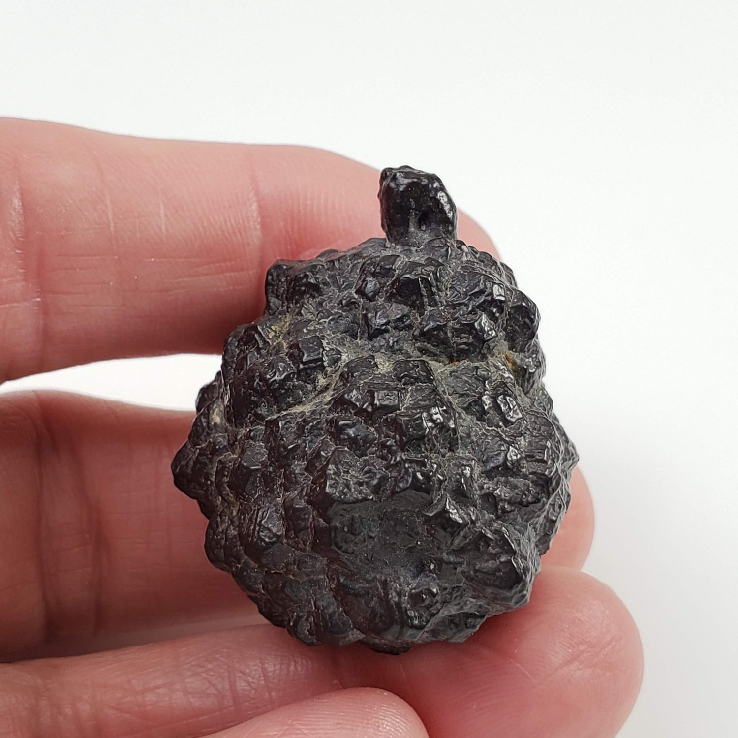 Pseudomorph Goethite After Marcasite | Prophecy Stone | 59.8gr | Farafra Oasis, Egypt