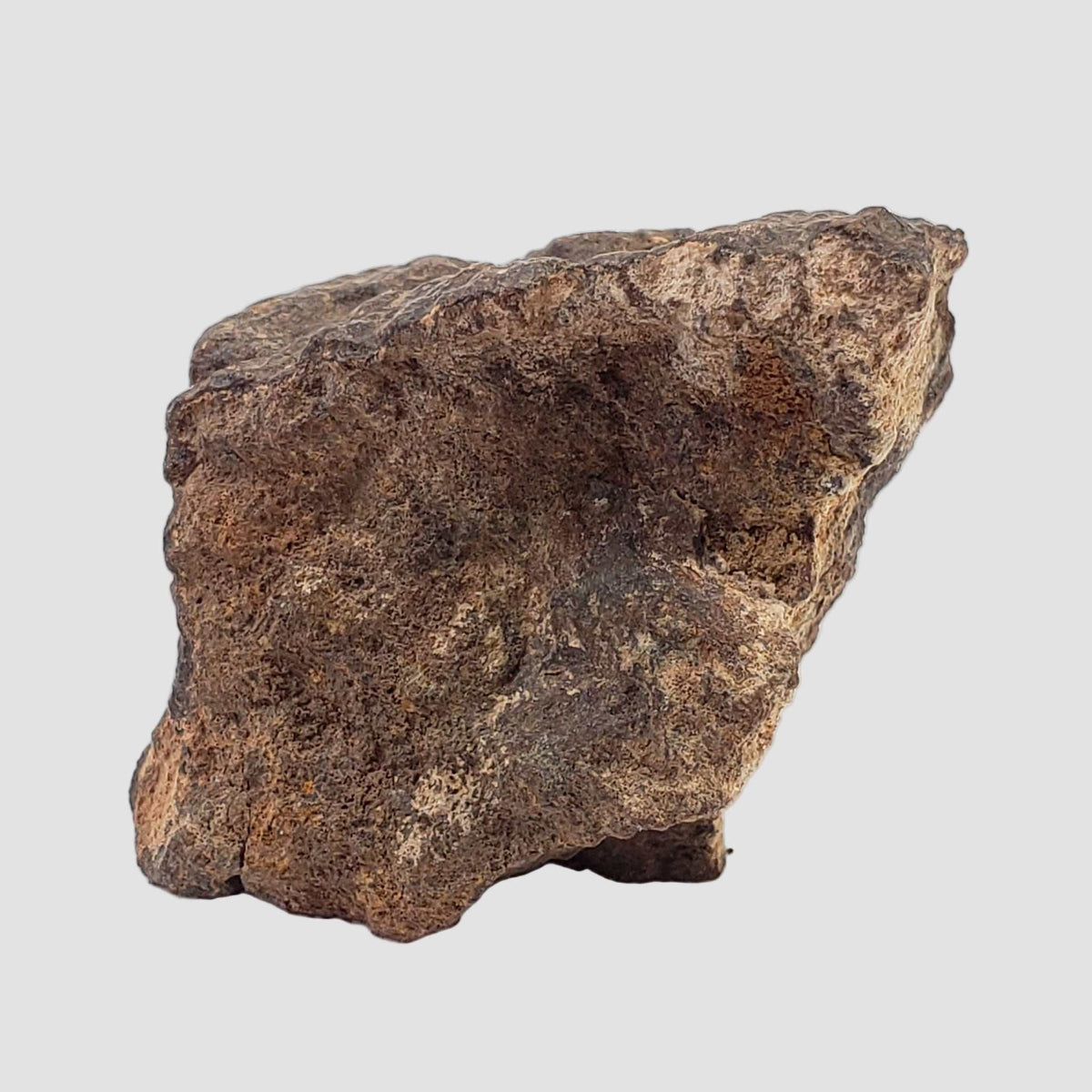 Northwest Africa NWA Meteorite | 56.7 Grams | End Cut | Sahara