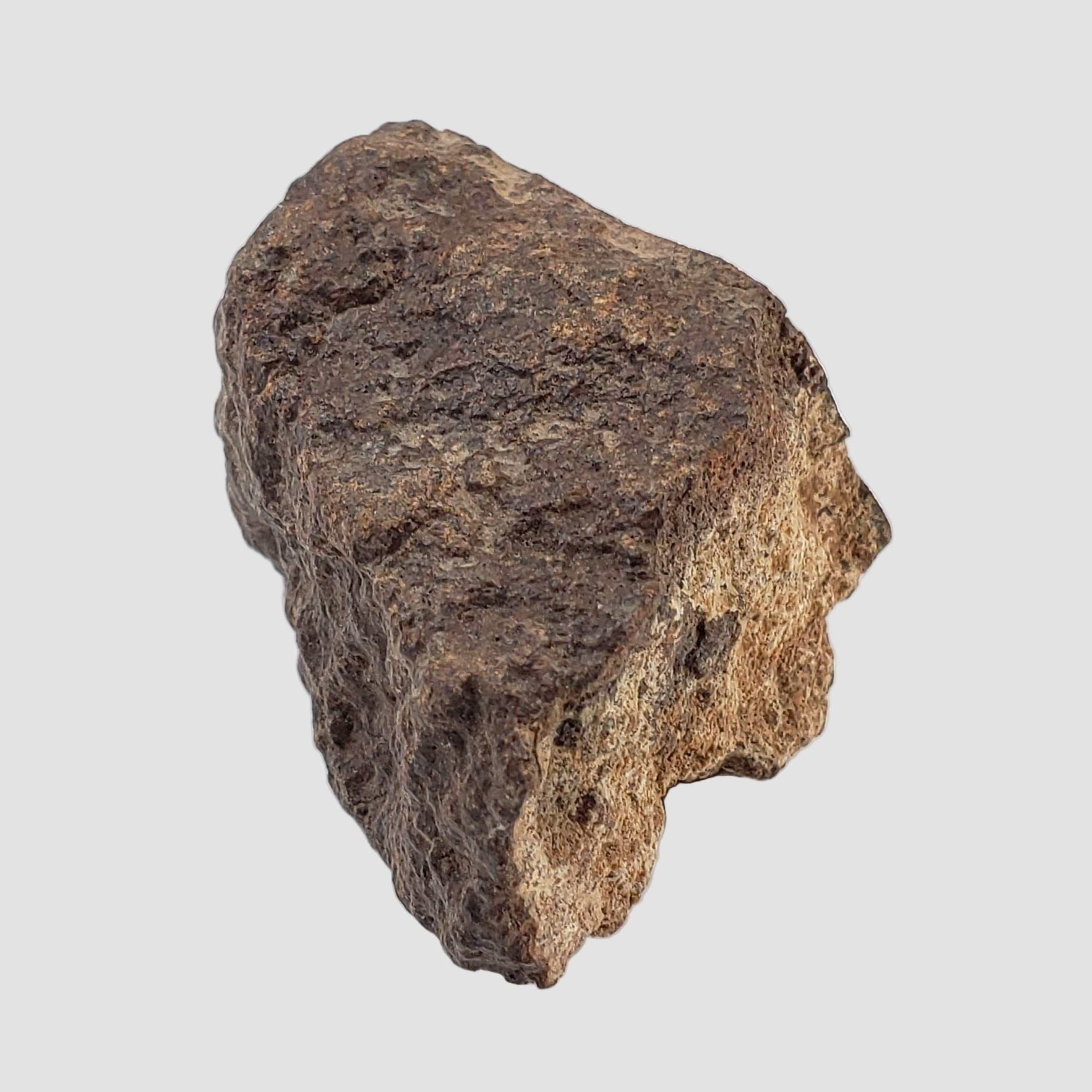 Northwest Africa NWA Meteorite | 56.7 Grams | End Cut | Sahara