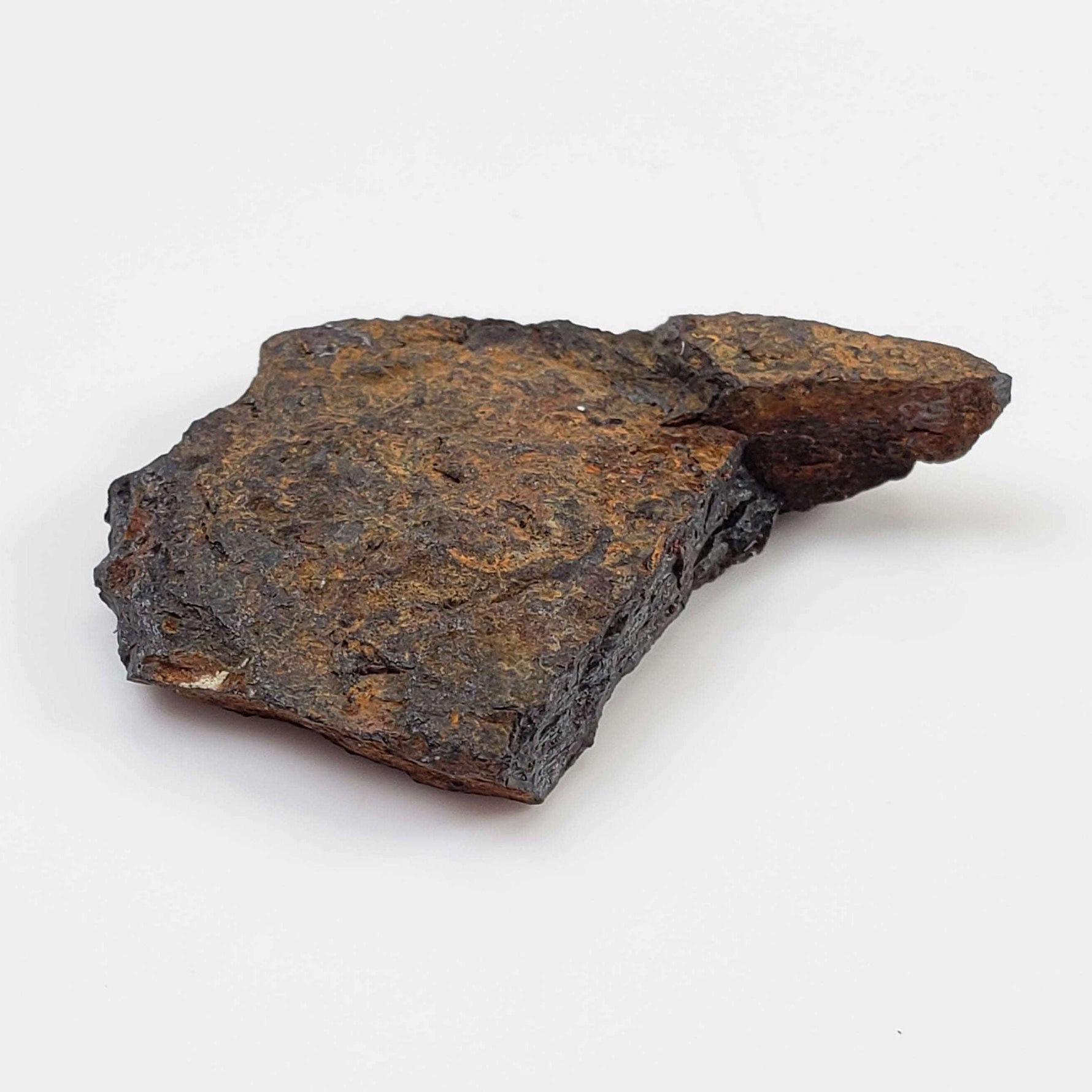 Lake Murray Meteorite | 5.5 Grams | Fragment | Iron Shale IIAB | Oklahoma, USA