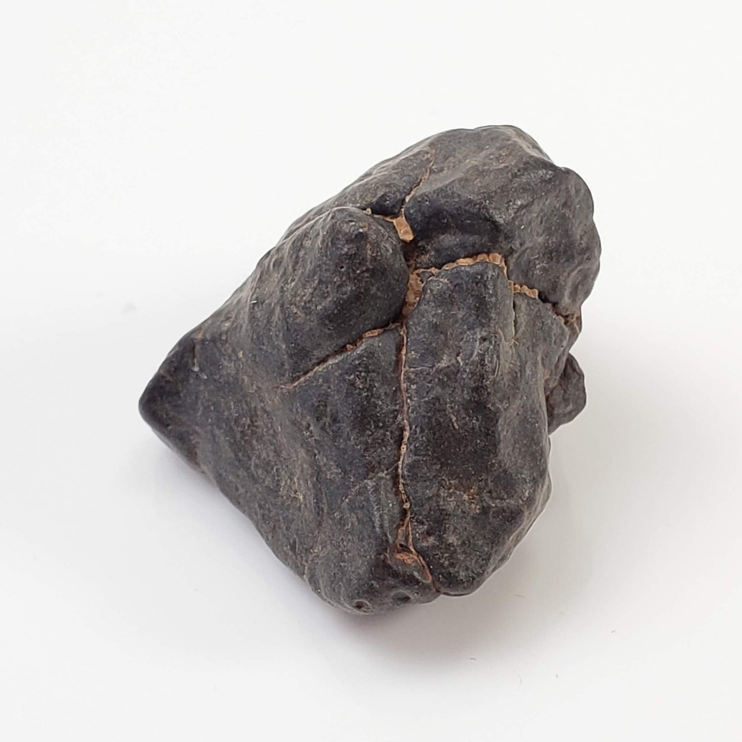 Météorite Northwest Africa NWA | 6,3 grammes | Fragment individuel | Sahara