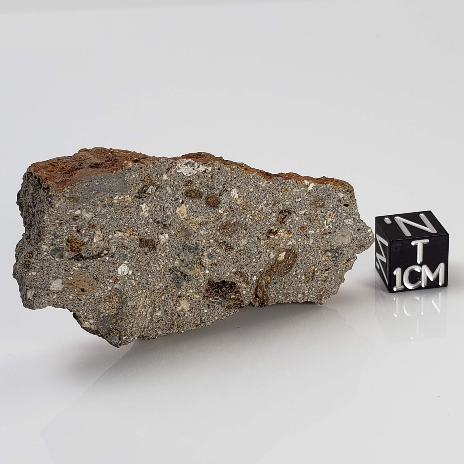 Impactite Suevite | 22.7 grams | Norrbo, Sweden