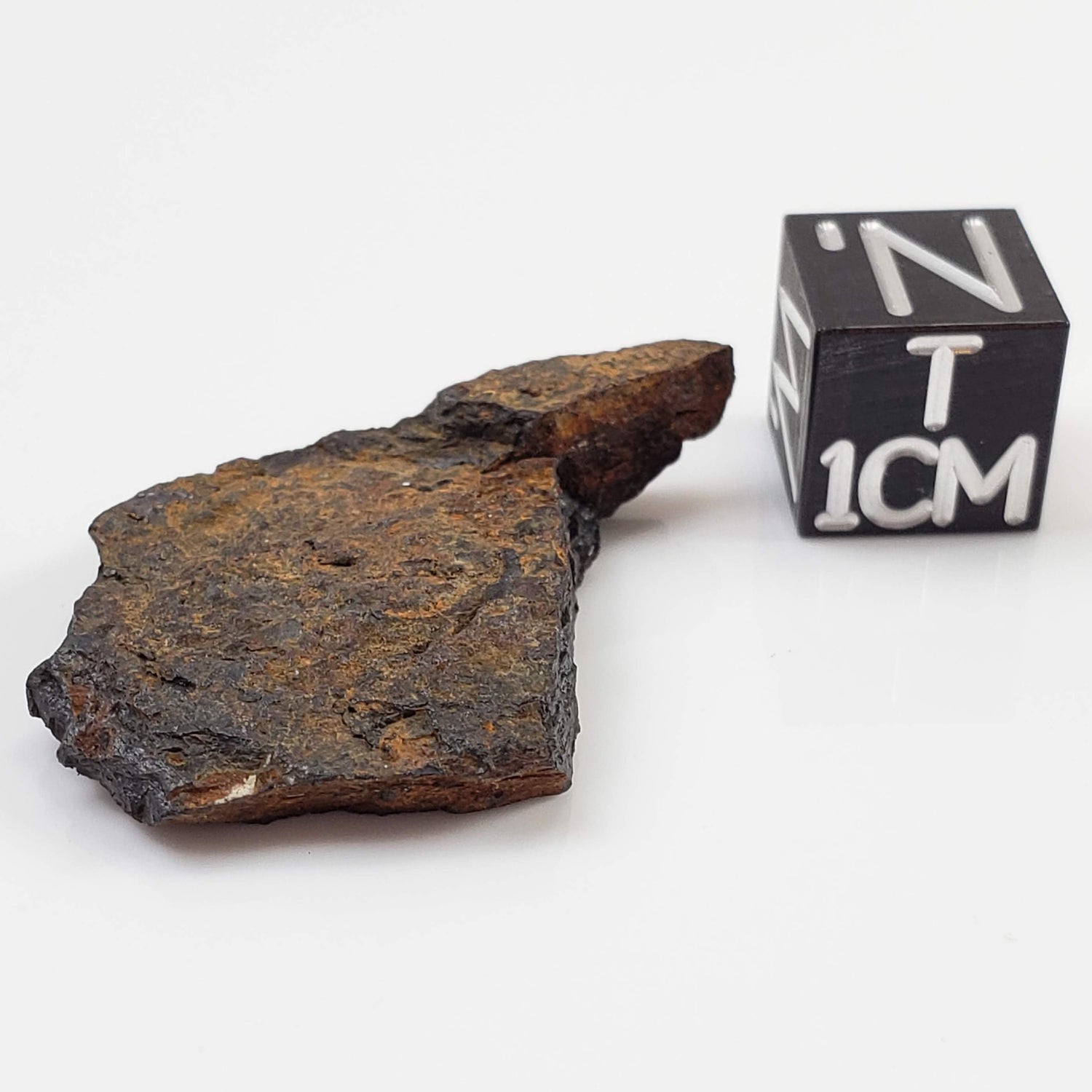 Lake Murray Meteorite | 5.5 Grams | Fragment | Iron Shale IIAB | Oklahoma, USA