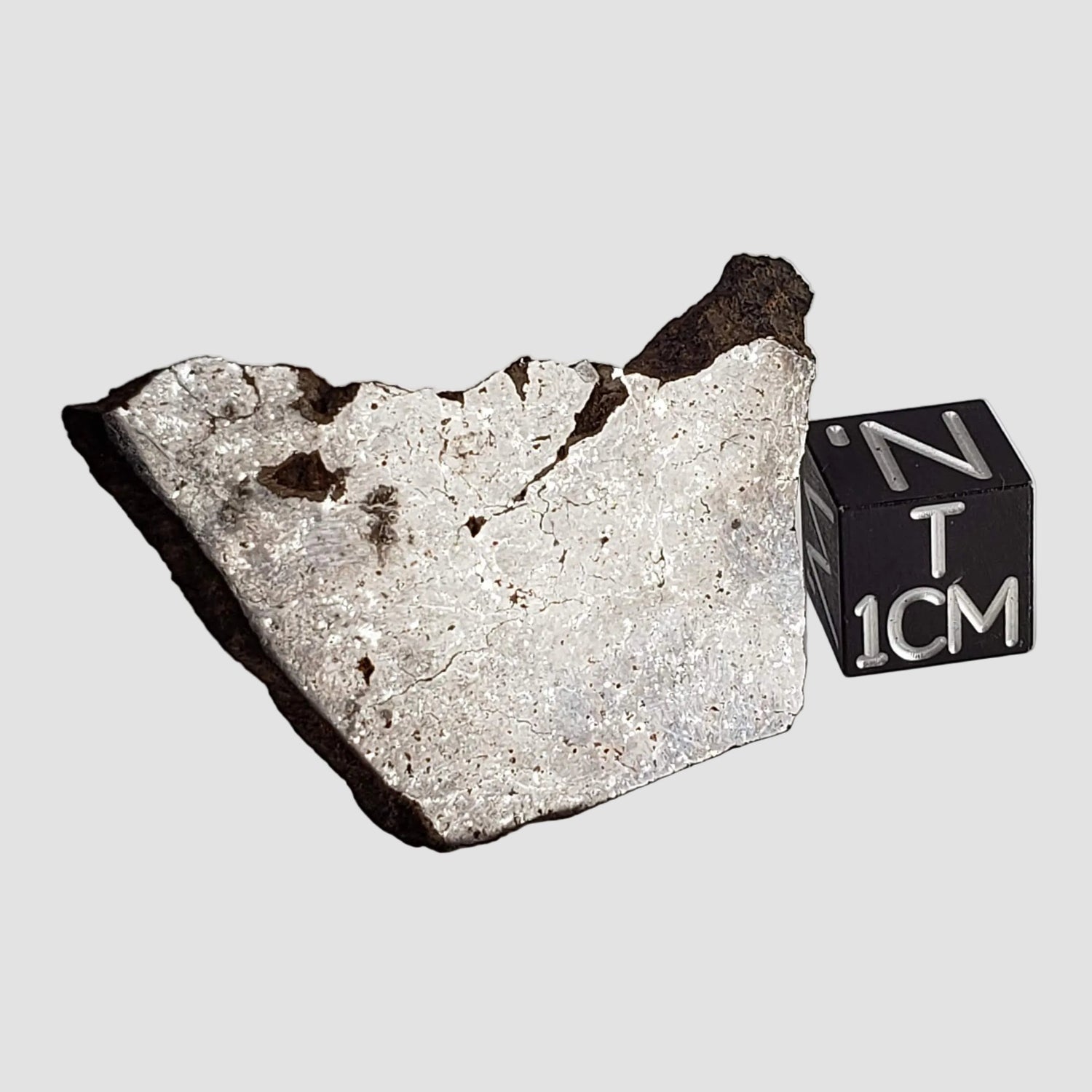 Météorite Shişr 010 | 6,26 grammes | Tranche | Chondrite L5 | Rare | Désert de Shişr, Oman