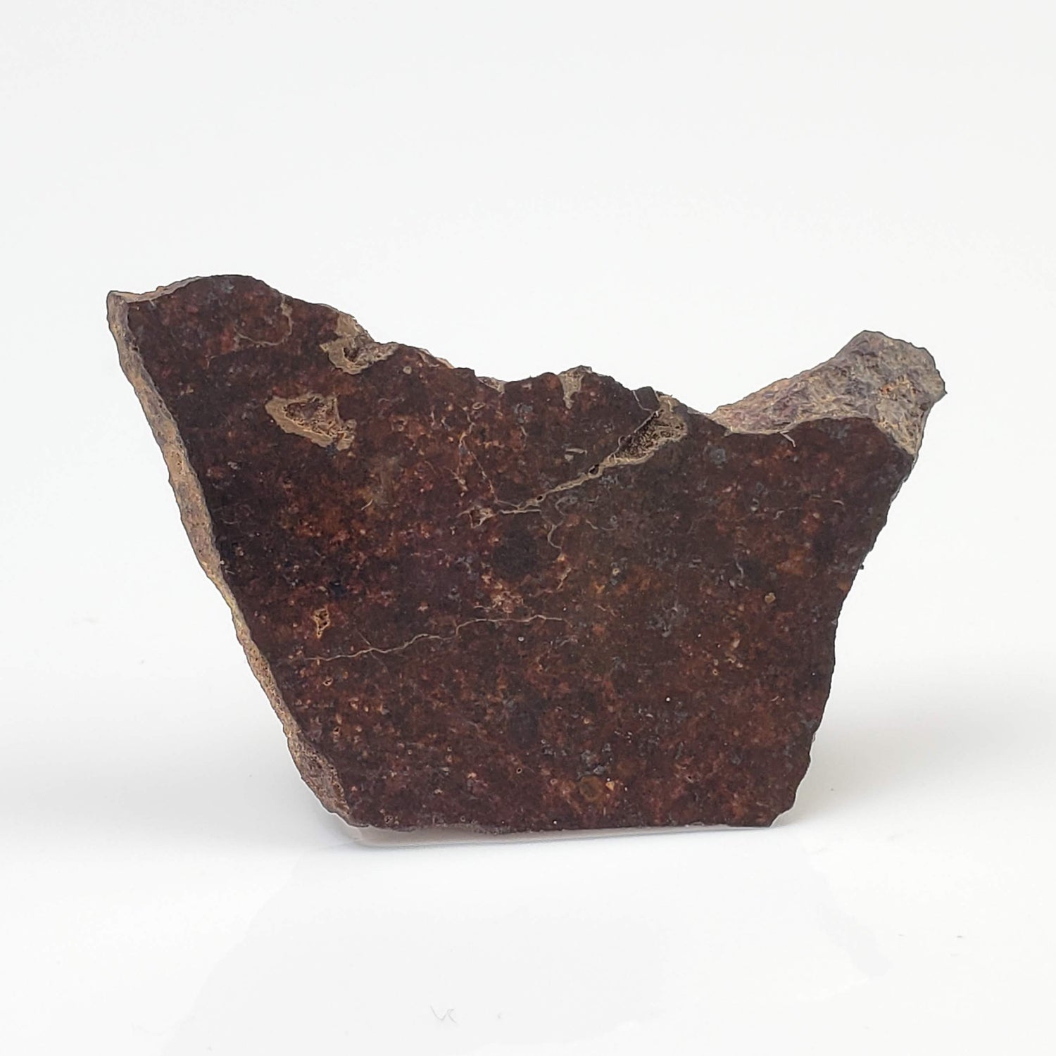 Météorite Shişr 010 | 6,26 grammes | Tranche | Chondrite L5 | Rare | Désert de Shişr, Oman