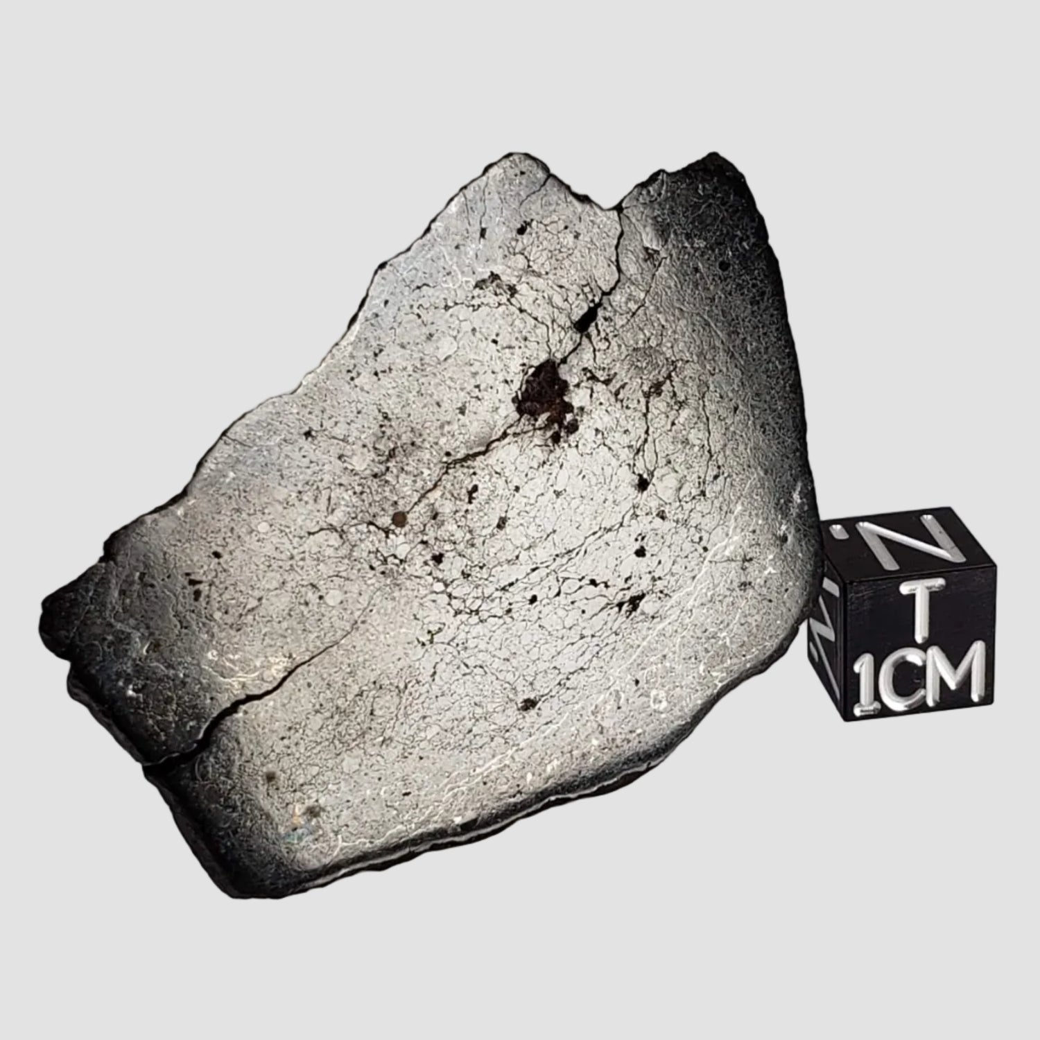 Ghubara Meteorite | 15.4 Gr | Slice | Rare Stony Black L5 Chondrite | Oman