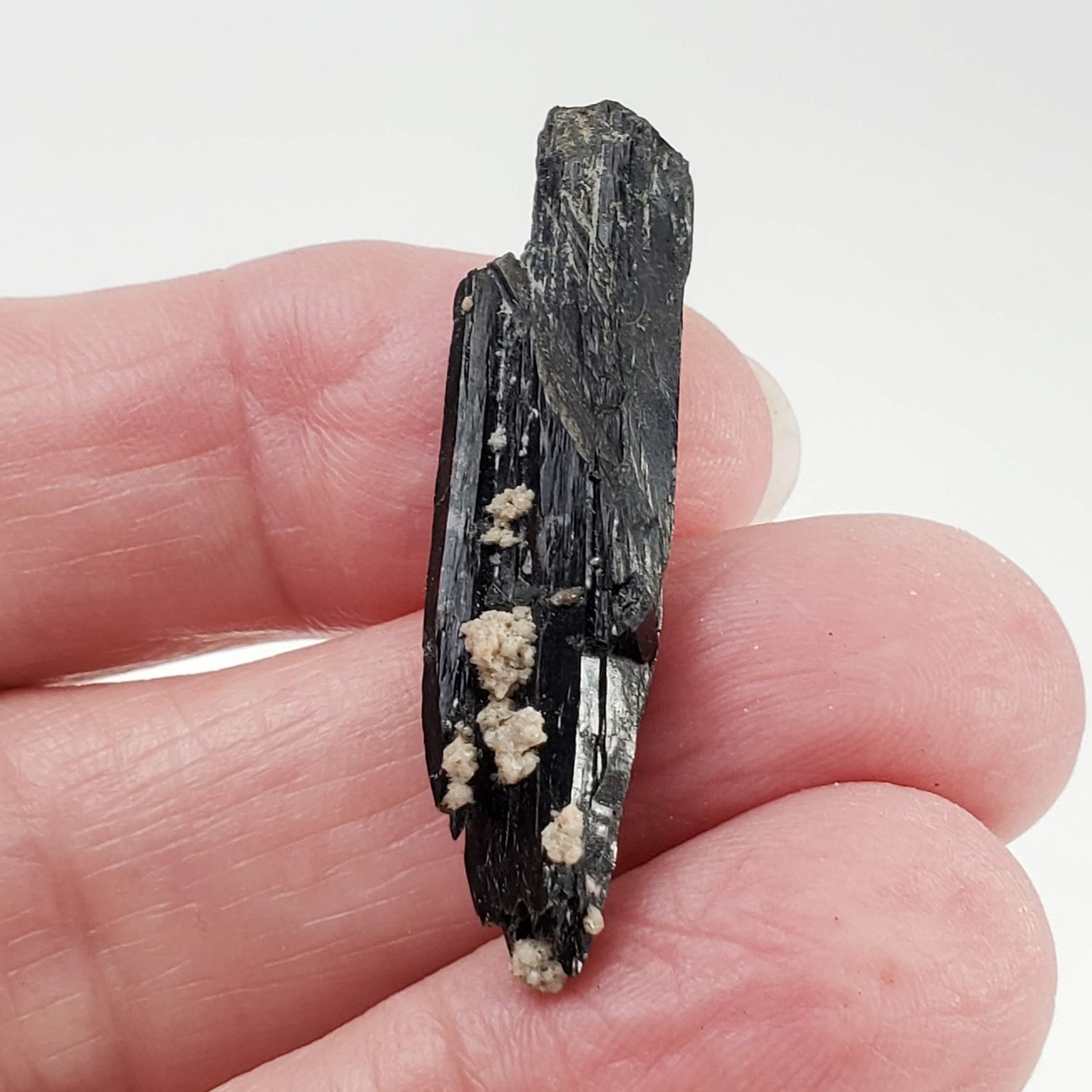 Aegirine Crystal | 4.0gr | Mont-Saint-Hilaire, Québec, Canada