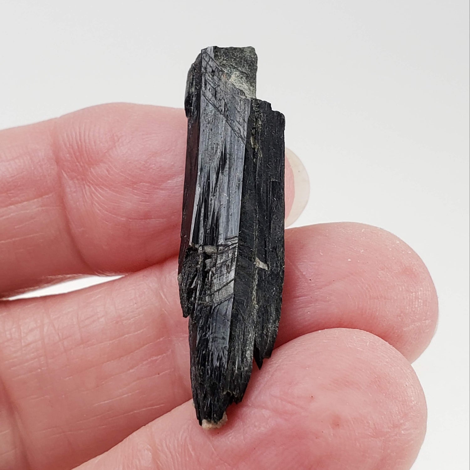 Aegirine Crystal | 4.0gr | Mont-Saint-Hilaire, Québec, Canada