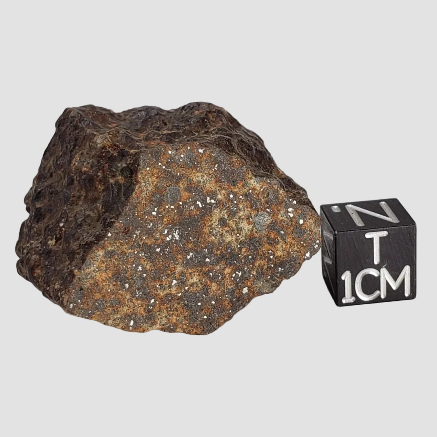 Northwest Africa NWA Meteorite | 45 Grams | End Cut | Sahara